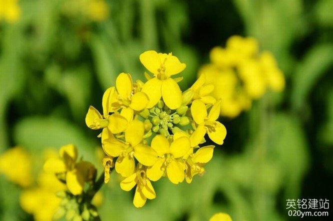 777久久久精品一区二区三区