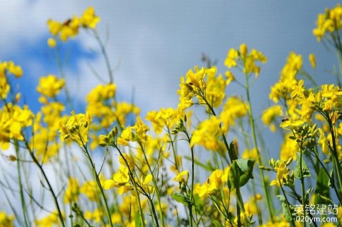 777久久久精品一区二区三区