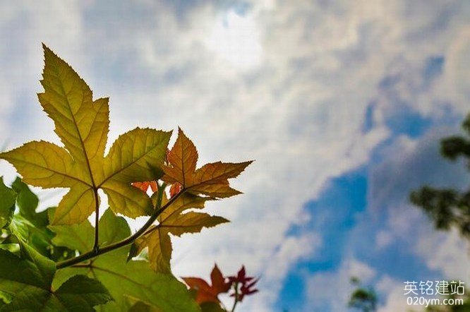 777久久久精品一区二区三区