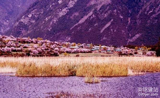 777久久久精品一区二区三区