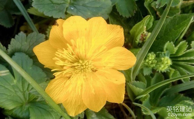 777久久久精品一区二区三区