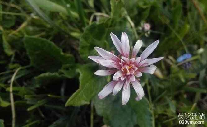 777久久久精品一区二区三区