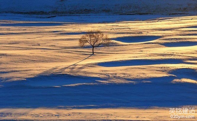 777久久久精品一区二区三区