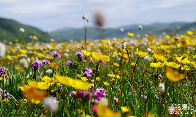 777久久久精品一区二区三区