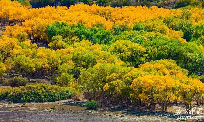 777久久久精品一区二区三区