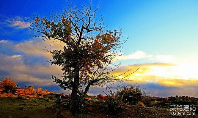 777久久久精品一区二区三区