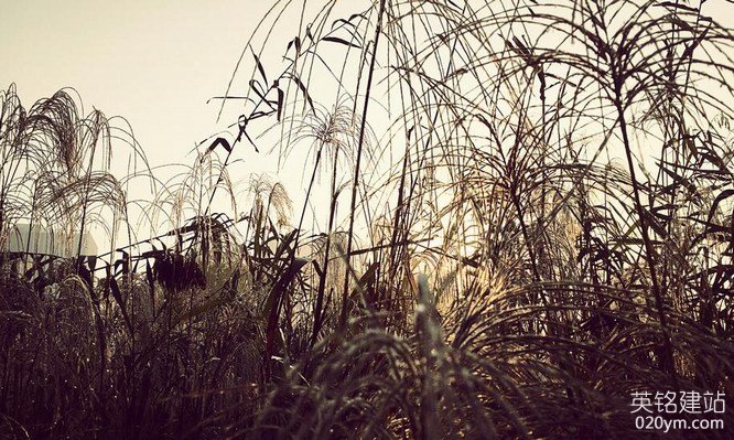 777久久久精品一区二区三区