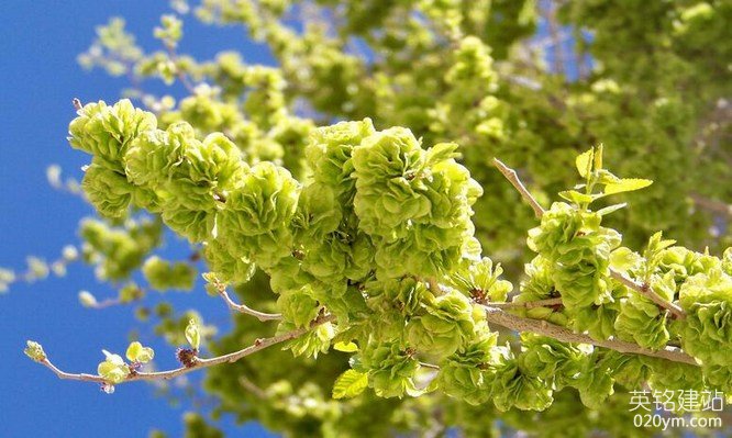 777久久久精品一区二区三区