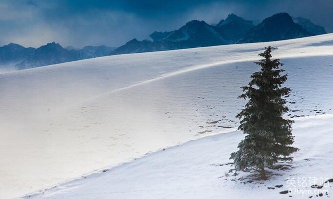 777久久久精品一区二区三区