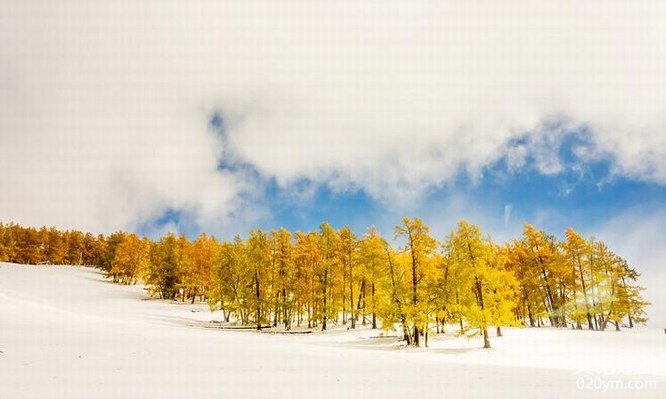 777久久久精品一区二区三区