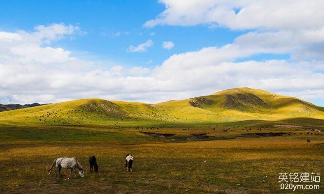 777久久久精品一区二区三区