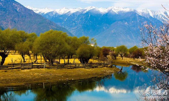 777久久久精品一区二区三区