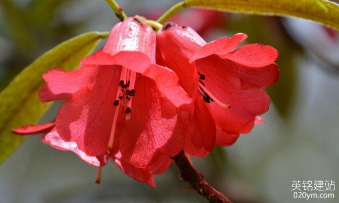 777久久久精品一区二区三区