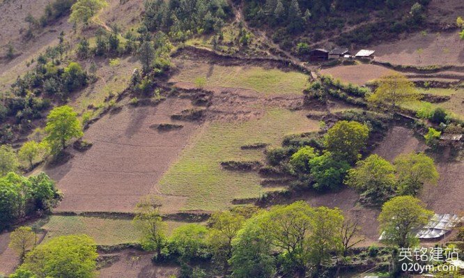 777久久久精品一区二区三区