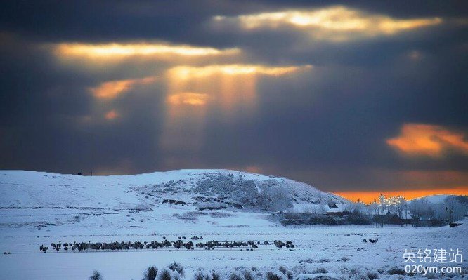 777久久久精品一区二区三区