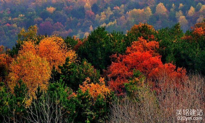 777久久久精品一区二区三区