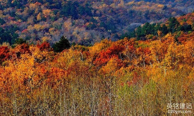 777久久久精品一区二区三区