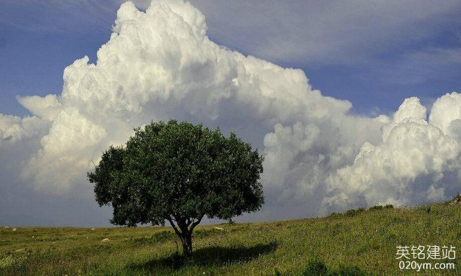 777久久久精品一区二区三区