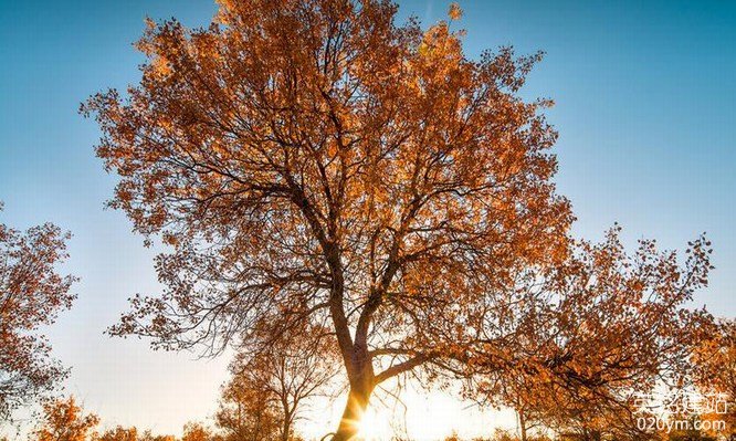 777久久久精品一区二区三区